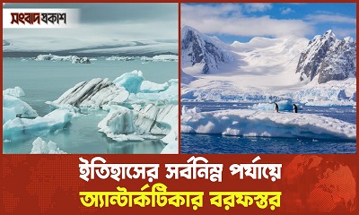 ইতিহাসের সর্বনিম্ন পর্যায়ে অ্যান্টার্কটিকার বরফস্তর