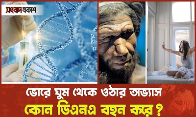 ভোরে ঘুম থেকে ওঠার অভ্যাস কোন ডিএনএর কারণে?