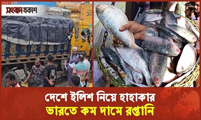 ইলিশের দাম বাড়াচ্ছে কারা?