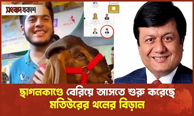 সোনালী ব্যাংকের পরিচালক পদেও রয়েছেন মতিউর রহমান