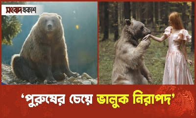 পুরুষের চেয়ে ভালুক নিরাপদ