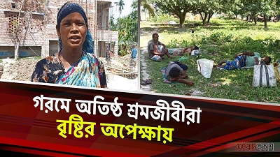 প্রচণ্ড গরমে মাথায় পানি ঢেলেও আরাম মিলছে না