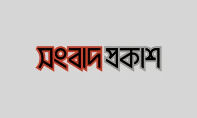 রুশদেশের উপকথা | গোল রুটি | সংবাদ প্রকাশ 