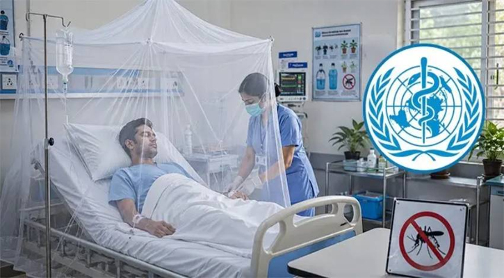 বাড়ছে ডেঙ্গুর সংক্রমণ, বিশ্ব স্বাস্থ্য সংস্থার সতর্কতা