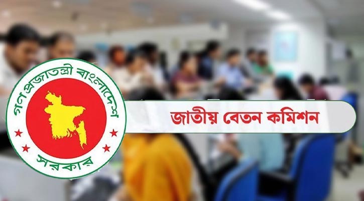 সরকারি চাকরিজীবীদের বেতন বৃদ্ধি: অর্থ উপদেষ্টার মন্তব্যের পর যা জানা গেল