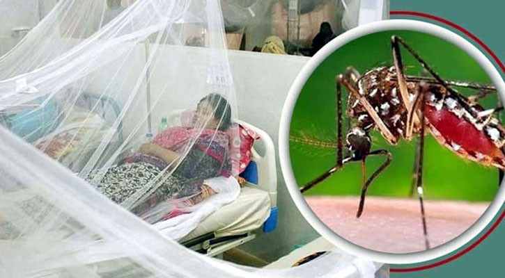 ডেঙ্গু আক্রান্ত হয়ে হাসপাতালে ভর্তি ১৮০ জন