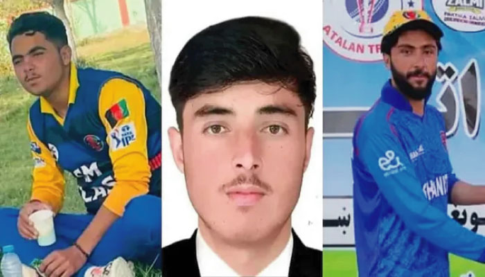বিমান হামলায় ৩ ক্রিকেটার নিহত, ত্রিপক্ষীয় সিরিজ থেকে নাম প্রত্যাহার