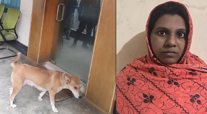 আট কুকুরছানা হত্যার ঘটনায় সেই নারাী গ্রেপ্তার
