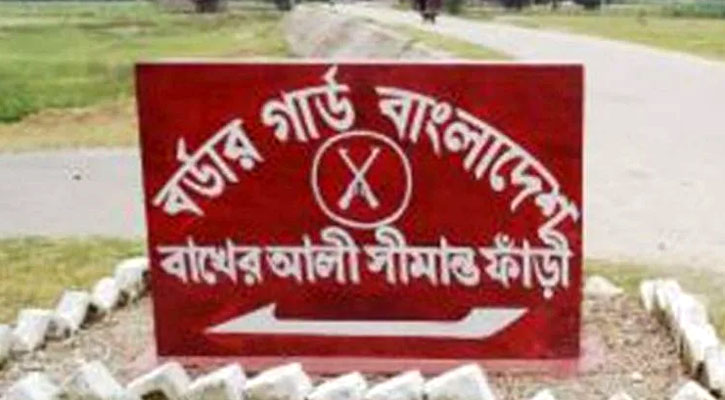 সীমান্তে বিজিবির গুলি, ১০টি ভারতীয় মহিষ জব্দ