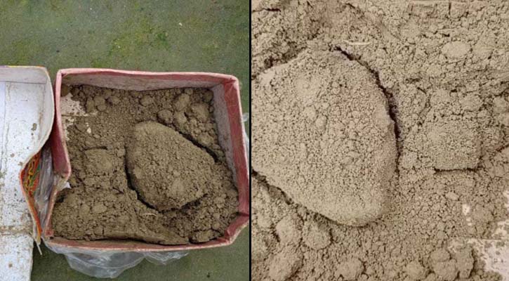 কন্যাসন্তান হওয়ায় শ্বশুরবাড়িতে মিষ্টির প্যাকেটে পাঠানো হলো মাটি