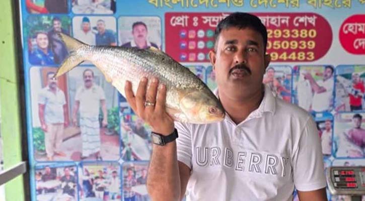 রাজবাড়ীতে ২ কেজি ইলিশ বিক্রি হল ১০ হাজার টাকায়