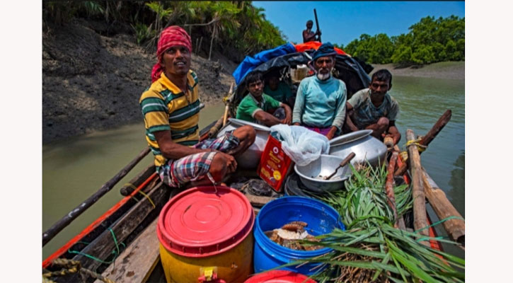 জিআই সনদ পেল সুন্দরবনের মধু, বদলাবে কি মৌয়ালের জীবন?