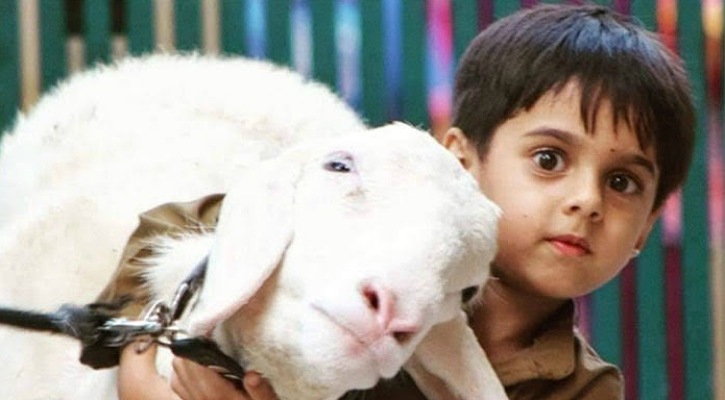 শিশুর পক্ষ থেকে কি কোরবানি দেওয়া যাবে?