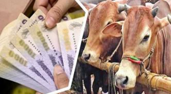 পশুর হাটে জাল টাকা, লেনদেনে সাবধান