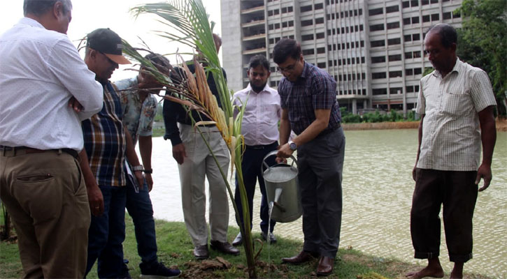 সবুজায়নের পথে নজরুল বিশ্ববিদ্যালয়, নেতৃত্বে প্রশাসন 