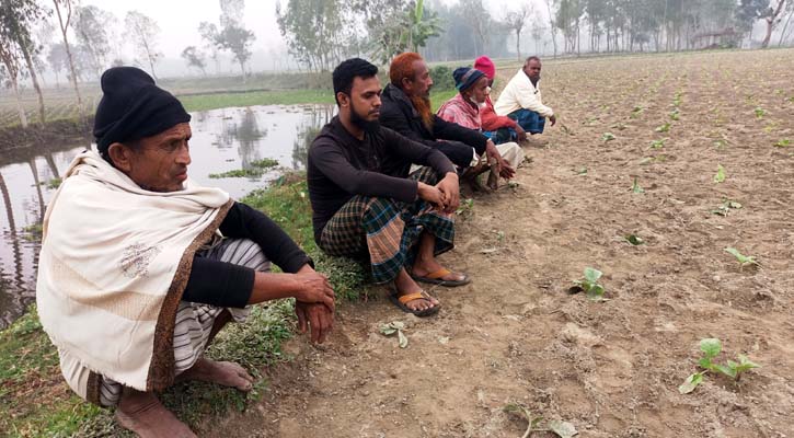 সীমান্তে ‘ডাঙ্গোয়াল’ আতঙ্কে রাত জেগে ক্ষেত পাহারা