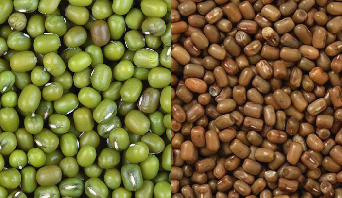 মুগ ডাল নিয়ে নিরাপদ খাদ্য কর্তৃপক্ষের সতর্কতা