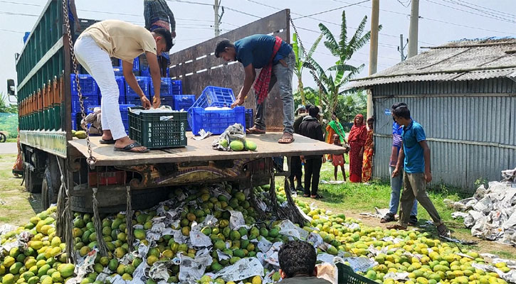 সাতক্ষীরায় অপরিপক্ব এক ট্রাক আম ধ্বংস করল জেলা প্রশাসন