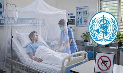 বাড়ছে ডেঙ্গুর সংক্রমণ, বিশ্ব স্বাস্থ্য সংস্থার সতর্কতা
