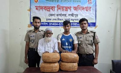বিপুল গাঁজাসহ দুই মাদক কারবারি আটক 