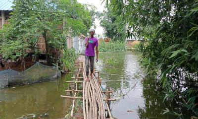 ২০ বছর ধরে চলাচলের একমাত্র ভরসা বাঁশের সাঁকো