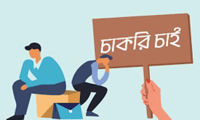 পল্লী উন্নয়ন ও সমবায় বিভাগের অধীনে নিয়োগ, পদ ৪৪টি