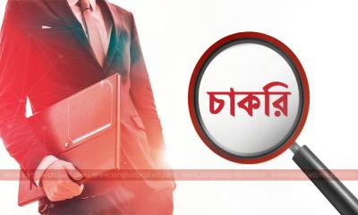বাংলাদেশ ক্রিকেট বোর্ডে চাকরি
