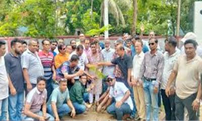 বৃক্ষরোপণ কর্মসূচির উদ্বোধন করলেন প্রধানমন্ত্রী