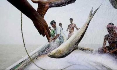 দুই মাস পর ইলিশ ধরা শুরু