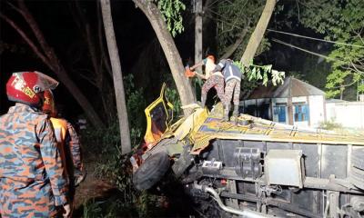 নিয়ন্ত্রণ হারিয়ে গাছের সঙ্গে ট্রাকের ধাক্কা, প্রাণ গেল চালক-হেলপারের