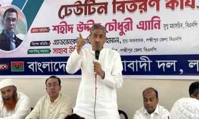 আ.লীগের সন্ত্রাসীরা দেশে বিশৃঙ্খলার চেষ্টা করছে : এ্যানি