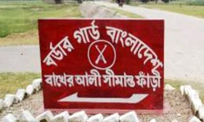 সীমান্তে বিজিবির গুলি, ১০টি ভারতীয় মহিষ জব্দ