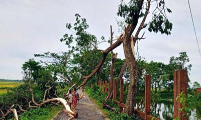 নাসিরনগরে ঝড়ের তাণ্ডবে বিদ্যুৎহীন কয়েক হাজার গ্রাহক