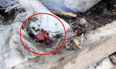 কালকিনিতে ইউপি সদস্যের বাড়িতে বোমা বিস্ফোরণ