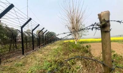 শেরপুর সীমান্ত দিয়ে ১০ বাংলাদেশিকে পুশইন