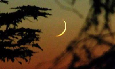বিশ্বের বৃহৎ মুসলিম দেশে ঈদুল আজহার তারিখ ঘোষণা 