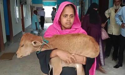 বিএনপি নেতার বিচারের জন্য বাছুর কোলে আদালতে নারী!