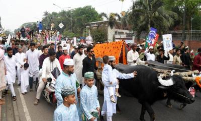 ঈদের দিন রাজধানীতে সুলতানি আমলের আদলে আনন্দ মিছিল