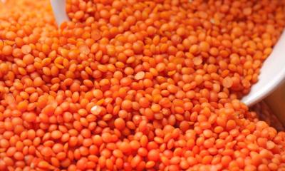 আরও ১০ হাজার টন মসুর ডাল কেনার অনুমোদন