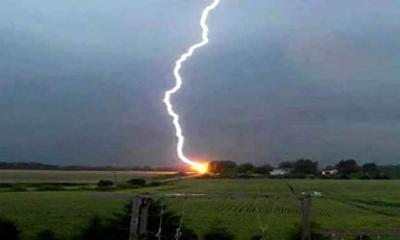 ধান কেটে ফেরার পথে বজ্রপাতে প্রাণ গেল কৃষকের