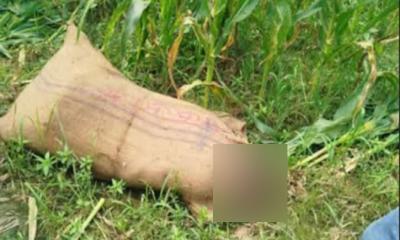 ভুট্টাক্ষেতে পড়ে ছিল বস্তাবন্দি মরদেহ