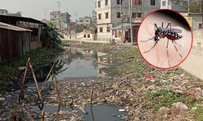 ডেঙ্গু প্রতিরোধে প্রতি মাসে বরাদ্দ পাচ্ছেন কাউন্সিলররা