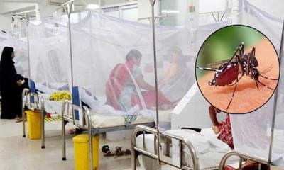 ডেঙ্গুতে আরও একজনের মৃত্যু, নতুন রোগী ১১৪