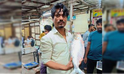 ১৩ হাজার টাকায় বিক্রি হলো ‘এক ইলিশ’