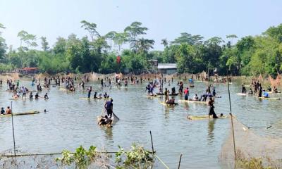 ২০০ বছরের ঐতিহ্যবাহী পুকুরে মাছ ধরেন শত শত জেলে