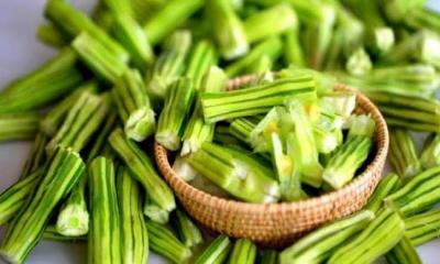 সজনে‍‍`র যত উপকারিতা
