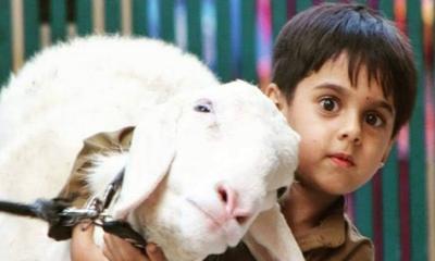 শিশুর পক্ষ থেকে কি কোরবানি দেওয়া যাবে?