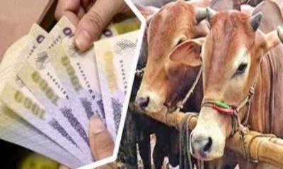 পশুর হাটে জাল টাকা লেনদেনে সাবধান