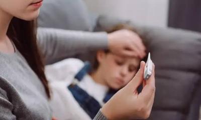 বৃষ্টিতে বাড়ছে ডেঙ্গু জ্বর, যেভাবে সতর্ক হবেন