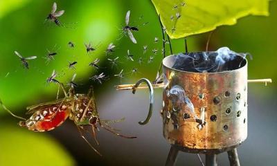 বর্ষার দিনে ঘরোয়া ৭ টোটকাতেই মশা তাড়ান
